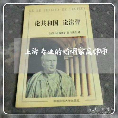 上海专业的婚姻家庭律师/2023030142026