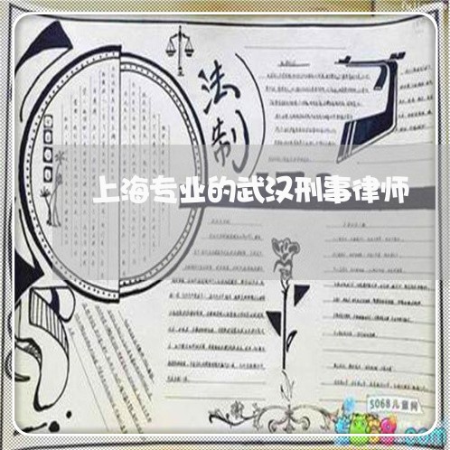 上海专业的武汉刑事律师/2023030115047