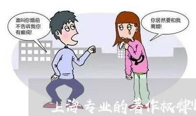 上海专业的著作权律师咨询/2023032170472