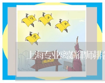 上海专业离婚律师排名/2023040965946