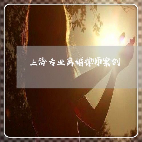 上海专业离婚律师案例/2023040907048