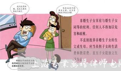 上海专业离婚律师电网/2023040962715