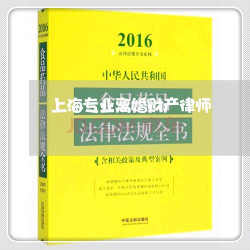 上海专业离婚财产律师/2023021439260 上海专业离婚财产律师/2023021439260