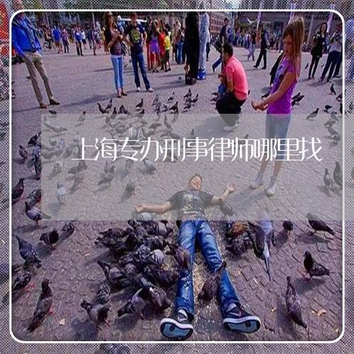 上海专办刑事律师哪里找/2023030169371 上海专办刑事律师哪里找/2023030169371