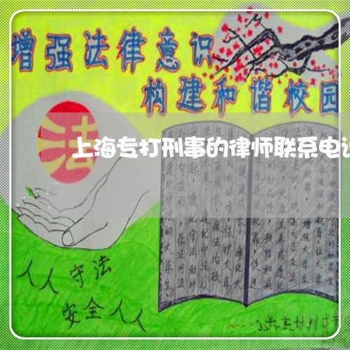 上海专打刑事的律师联系电话/2023041430584