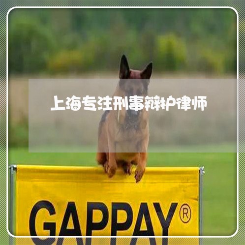 上海专注刑事辩护律师/2023021461592