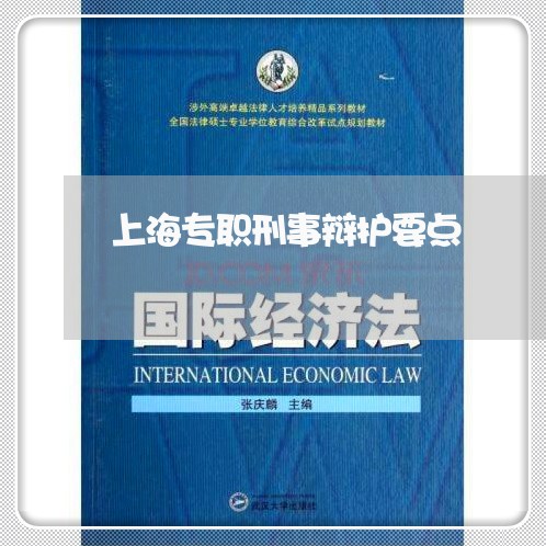 上海专职刑事辩护要点/2023040938453