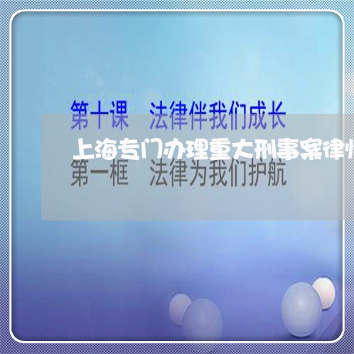 上海专门办理重大刑事案律师/2023041490584