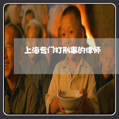 上海专门打刑事的律师/2023021440672 上海专门打刑事的律师/2023021440672