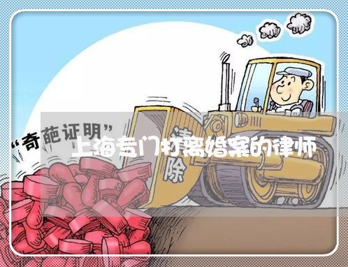 上海专门打离婚案的律师/2023030167471 上海专门打离婚案的律师/2023030167471