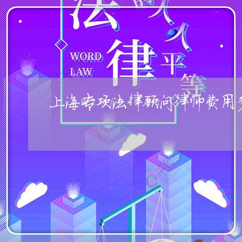 上海专项法律顾问律师费用多少