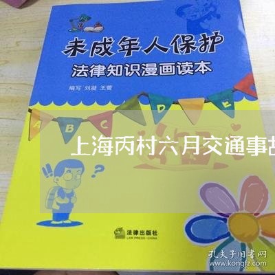 上海丙村六月交通事故/2023040968271