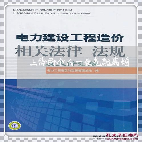 上海两个人一生气就离婚/2023030192605