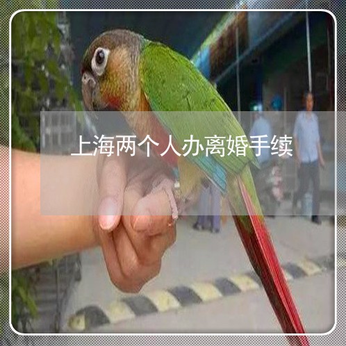 上海两个人办离婚手续/2023040916946 上海两个人办离婚手续/2023040916946