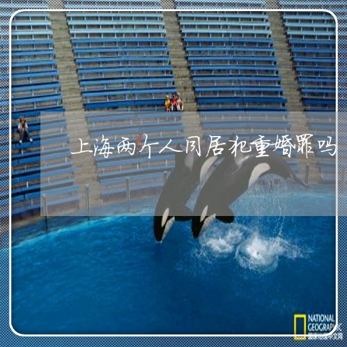 上海两个人同居犯重婚罪吗/2023032179304 上海两个人同居犯重婚罪吗/2023032179304