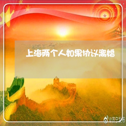 上海两个人如果协议离婚/2023030103705