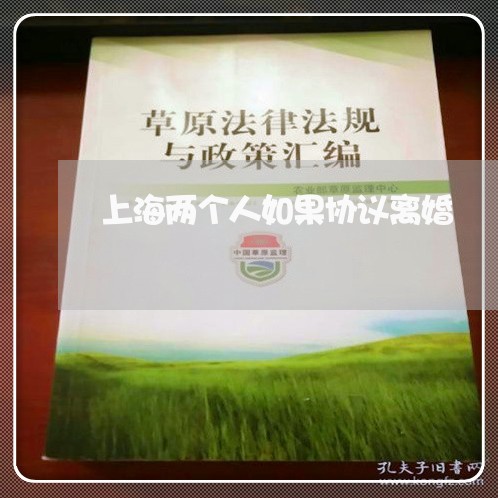 上海两个人如果协议离婚/2023030116938