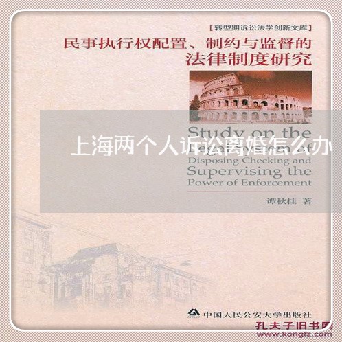上海两个人诉讼离婚怎么办/2023032127159