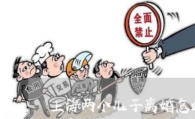 上海两个儿子离婚怎么判/2023030149505