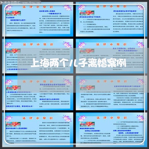 上海两个儿子离婚案例/2023021415248 上海两个儿子离婚案例/2023021415248