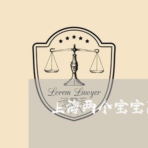 上海两个宝宝离婚协议/2023021417251