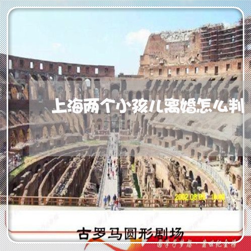 上海两个小孩儿离婚怎么判/2023032116369 上海两个小孩儿离婚怎么判/2023032116369