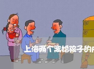 上海两个离婚孩子的户口跟谁/2023041414927