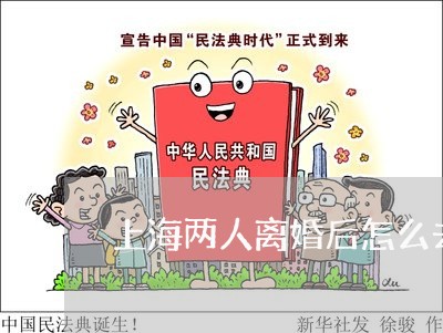 上海两人离婚后怎么去买房/2023032140483