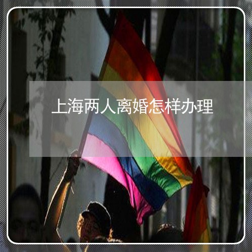 上海两人离婚怎样办理/2023040904916