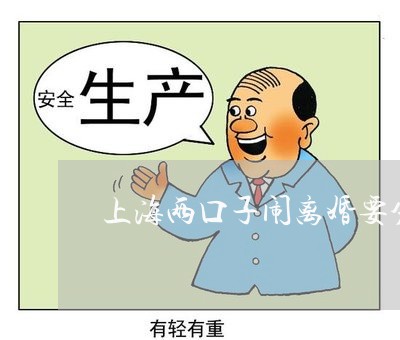 上海两口子闹离婚要分配财产/2023041447268