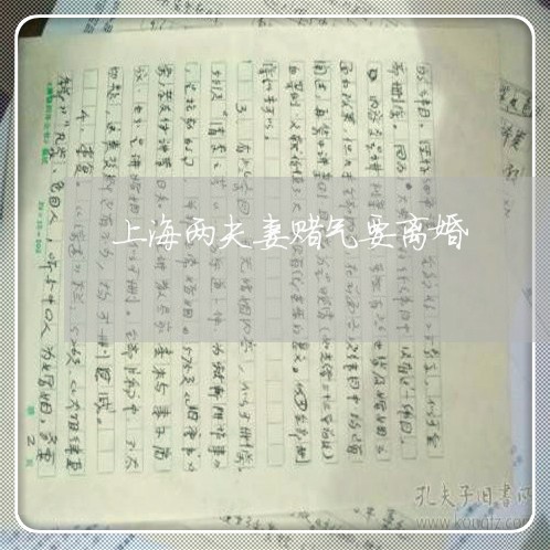 上海两夫妻赌气要离婚/2023040906948