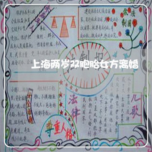 上海两岁双胞胎女方离婚/2023030282604 上海两岁双胞胎女方离婚/2023030282604