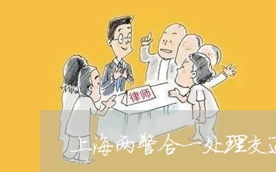 上海两警合一处理交通事故/2023032186150 上海两警合一处理交通事故/2023032186150