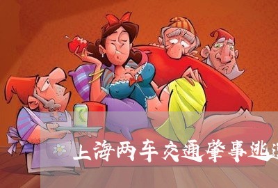 上海两车交通肇事逃逸/2023040949251 上海两车交通肇事逃逸/2023040949251