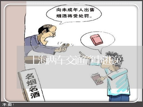 上海两车交通肇事逃逸/2023040984059 上海两车交通肇事逃逸/2023040984059