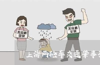 上海两轮车交通肇事死亡/2023030243827
