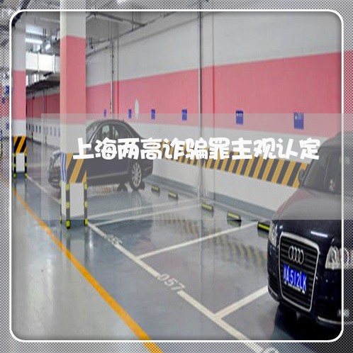 上海两高诈骗罪主观认定/2023030286837 上海两高诈骗罪主观认定/2023030286837
