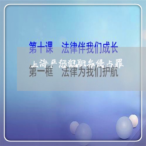 上海严惩犯职务侵占罪/2023021495147 上海严惩犯职务侵占罪/2023021495147