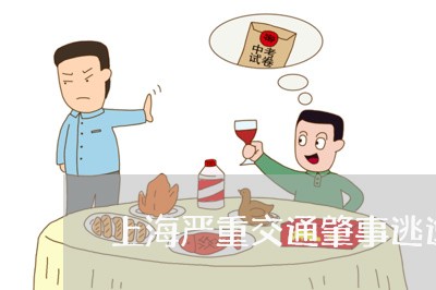 上海严重交通肇事逃逸/2023040914725 上海严重交通肇事逃逸/2023040914725