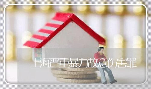 上海严重暴力故意伤害罪/2023030247060