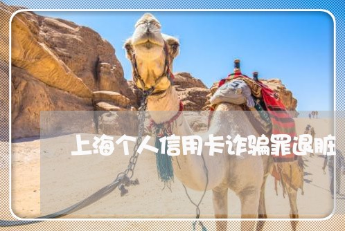 上海个人信用卡诈骗罪退脏/2023032159491 上海个人信用卡诈骗罪退脏/2023032159491