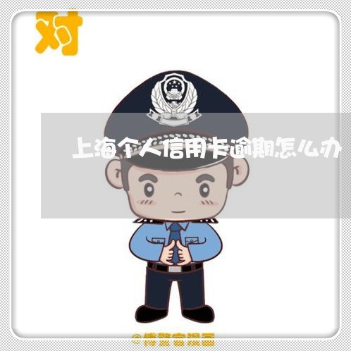 上海个人信用卡逾期怎么办 上海个人信用卡逾期怎么办