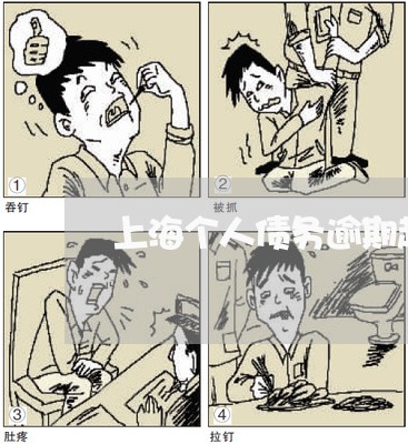 上海个人债务逾期起诉流程 上海个人债务逾期起诉流程