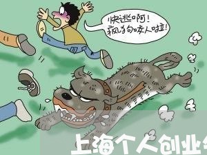 上海个人创业失败离婚/2023021437051 上海个人创业失败离婚/2023021437051