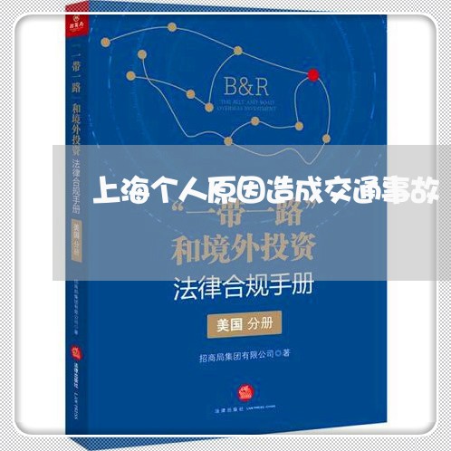 上海个人原因造成交通事故/2023032182693