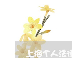 上海个人法律顾问服务咨询/2023061848182