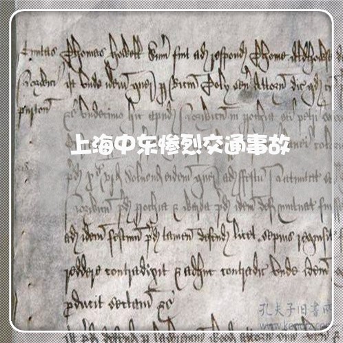 上海中东惨烈交通事故/2023021459371 上海中东惨烈交通事故/2023021459371