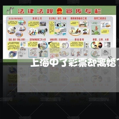 上海中了彩票却离婚了/2023021408361 上海中了彩票却离婚了/2023021408361
