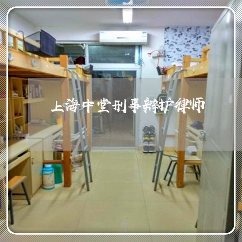 上海中堂刑事辩护律师/2023021427362 上海中堂刑事辩护律师/2023021427362