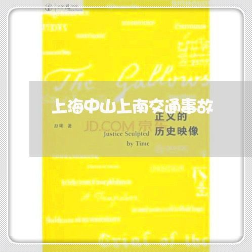 上海中山上南交通事故/2023021497394 上海中山上南交通事故/2023021497394